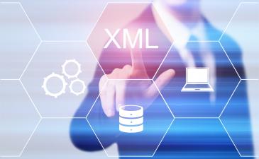 CSIO XML