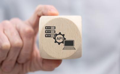 CSIO API Security Standard