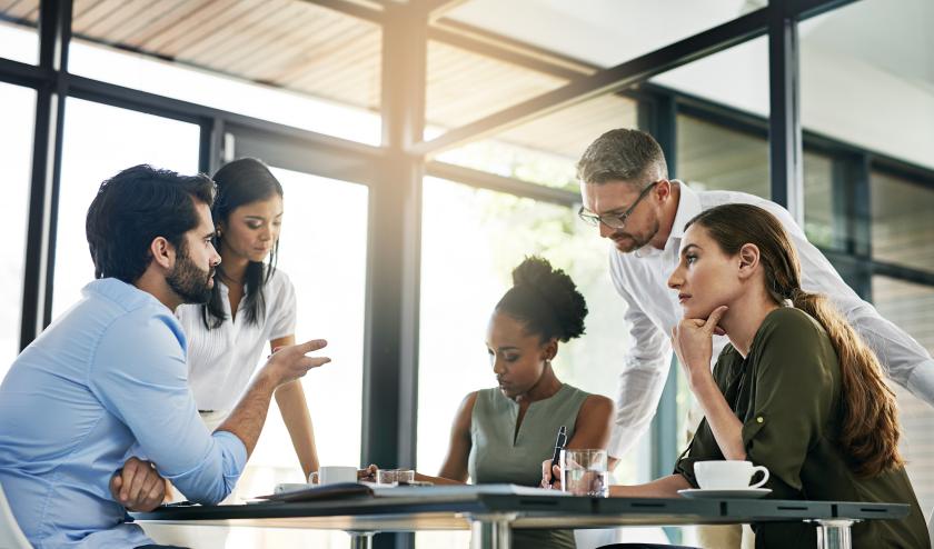 Business colleagues in a meeting, reviewing documents