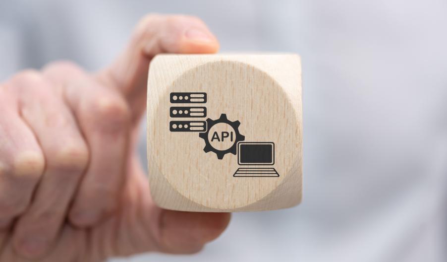 CSIO API Security Standard